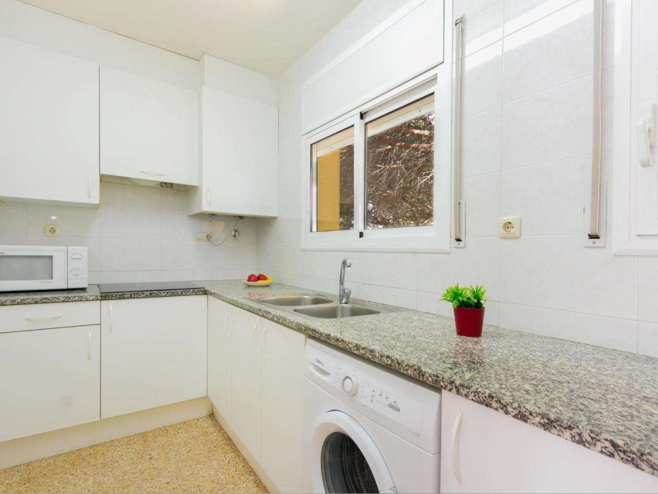 Velazquez-5 By Interhome Roses